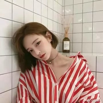 夏之庭